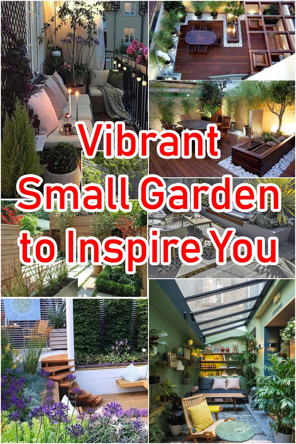 Vibrant Small Garden to Inspire You